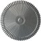 Ekena Millwork Shakuras Ceiling Medallion (Fits Canopies up to 5"), Hand-Painted Platinum, 24"OD x 3"P CM24SHPLS - alternate 1